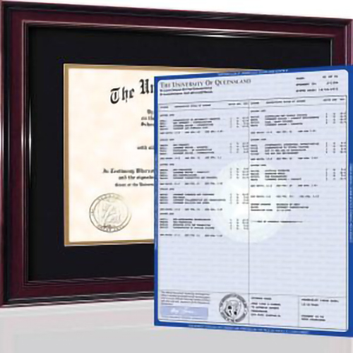 NOVELTY FAKE GED PLUS FULL SET OF TRANSCRIPT (SECONDARY SCHOOL)